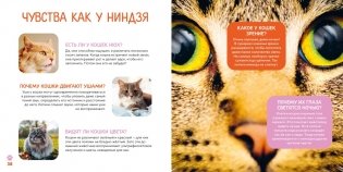 Моя первая книга о животных. 200 фотографий фото книги 6