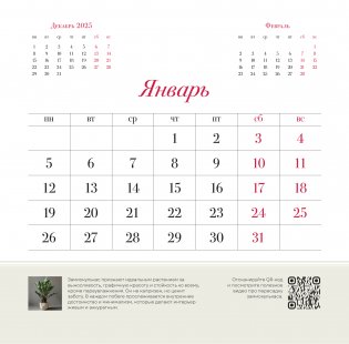 Цветология. Настенный календарь на 2026 год фото книги 3