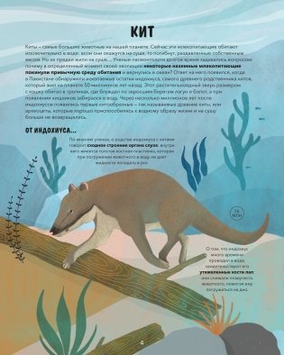 Эволюция. Как изменилась жизнь за миллиарды лет фото книги 4