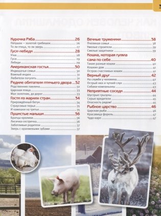 Животные фермы фото книги 3