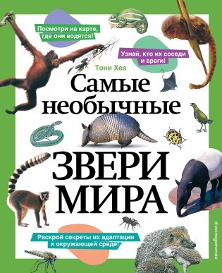 Самые необычные звери мира фото книги
