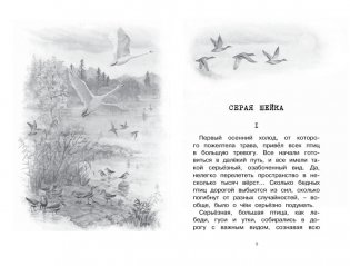 Серая Шейка фото книги 3