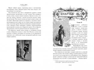 Приключения Тома Сойера и Гекльберри Финна фото книги 3