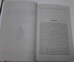 Тамплиеры. История великого рыцарского ордена и других тайных обществ Средневековья фото книги 8