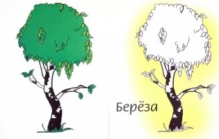 Деревья. Раскраска фото книги 2