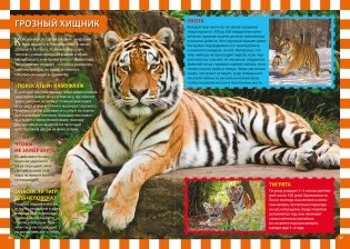 Животные России. Детская энциклопедия фото книги 2