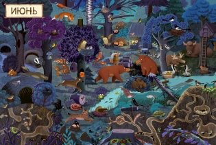 Год в лесу. Найди и покажи фото книги 4