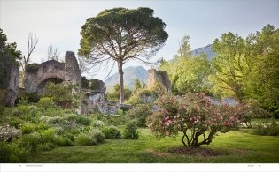 Roses in the Garden фото книги 4