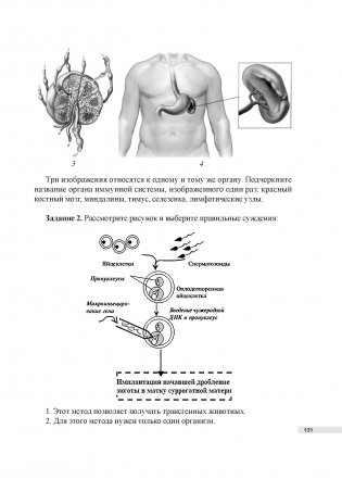 Биология. 11 класс. Дидактические и диагностические материалы фото книги 6