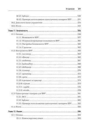 BPF: профессиональная оценка производительности фото книги 16