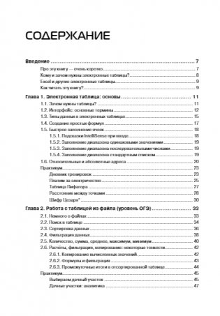 Excel для школьников. Практикум фото книги 4
