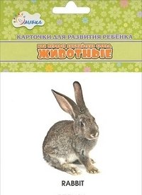 Животные. Учебные карточки фото книги