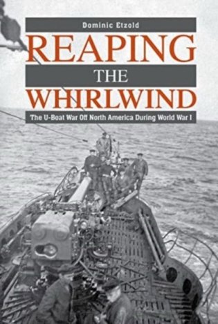 Reaping the whirlwind фото книги