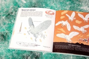 Волшебные единороги фото книги 3