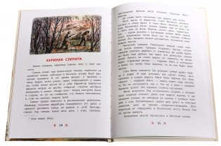 Землянка фото книги 4