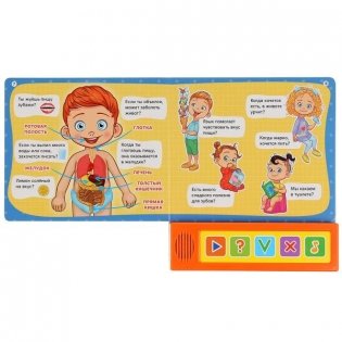 Тело человека. Викторина фото книги 4