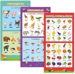 Сборник обучающих плакатов "Мои первые плакаты" фото книги 3