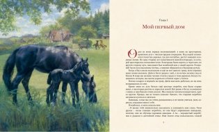 Чёрный красавчик фото книги 2