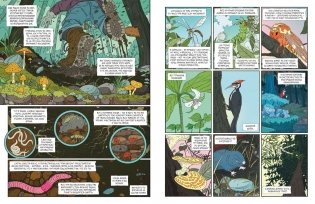 Рыцарь-гриб. Книга 1 фото книги 3