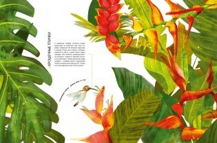 Самые удивительные животные в натуральную величину фото книги 3