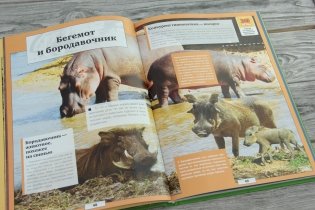 Животные нашей планеты фото книги 3
