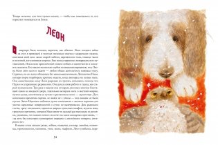 Заяц на взлетной полосе фото книги 6