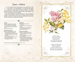 Тайный язык цветов фото книги 7