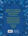 Ведьмы. Графический роман фото книги маленькое 3