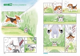 Милый дом Чи. Книга 4 фото книги 2