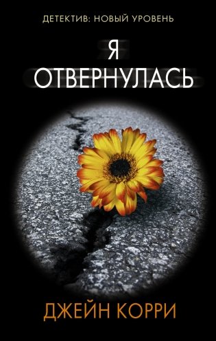 Я отвернулась фото книги