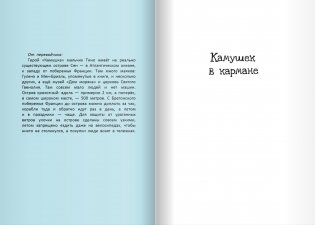 Камушек в кармане фото книги 2