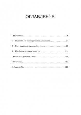Идентичность и цикл жизни фото книги 2