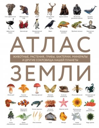 Атлас Земли. Животные, растения, грибы, бактерии, минералы и другие сокровища нашей планеты фото книги