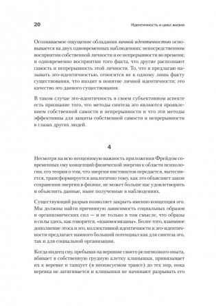 Идентичность и цикл жизни фото книги 9