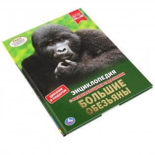 Большие обезьяны фото книги 5