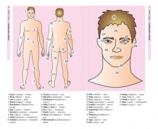 Немецкий язык в картинках. 1500 самых употребительных слов на каждый день фото книги 5