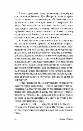 Маленькая хозяйка Большого дома фото книги 7