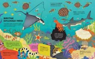 Животные. Энциклопедия с окошками фото книги 3