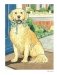Creative Haven the Dog Lovers' Coloring Book фото книги маленькое 13