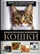 Кошки. Большая визуальная энциклопедия фото книги маленькое 2
