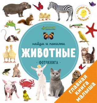 Найди и покажи. Фотокнига. Животные фото книги