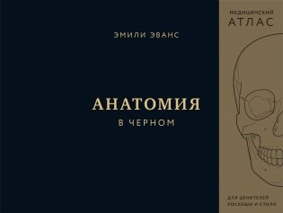 Анатомия в черном. Медицинский атлас для любителей роскоши и стиля фото книги