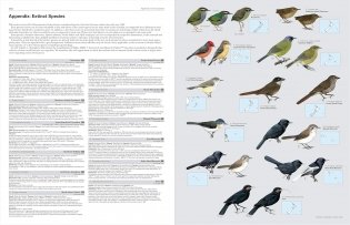 HBW and Birdlife International Illustrated Checklist of the Birds of the World Vol.2 фото книги 5