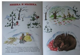 Мишка и все остальные. Развитие речи фото книги 5