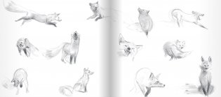 Белый лис фото книги 2