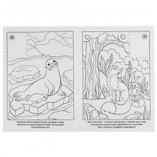 Дикие животные фото книги 3