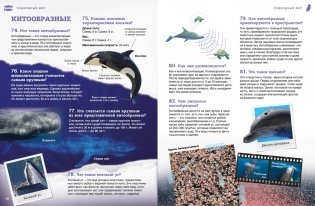 Подводный мир фото книги 7