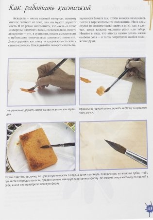 Акварельные животные фото книги 18