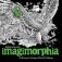 Imagimorphia: An Extreme Coloring and Search Challenge фото книги маленькое 2