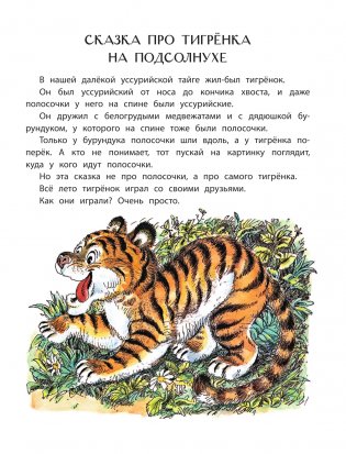 Сказка про Зелёную Лошадь фото книги 6